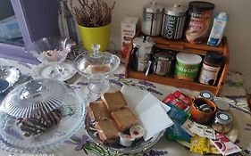Holiday House I Colli Pisani