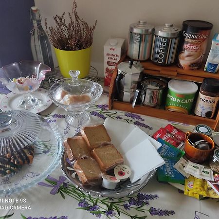 Apartament Holiday House I Colli Pisani Capannoli Zewnętrze zdjęcie