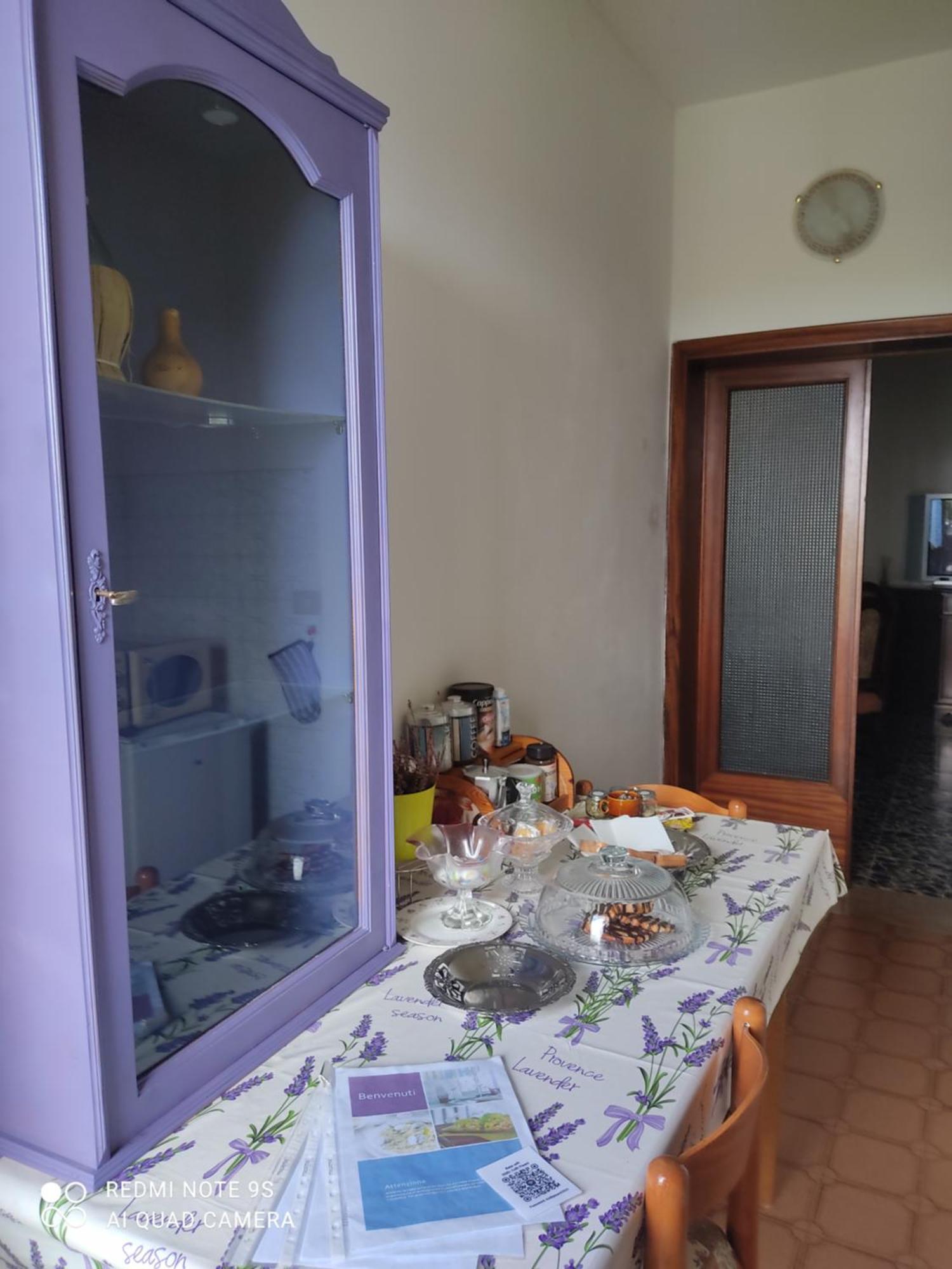 Apartament Holiday House I Colli Pisani Capannoli Zewnętrze zdjęcie